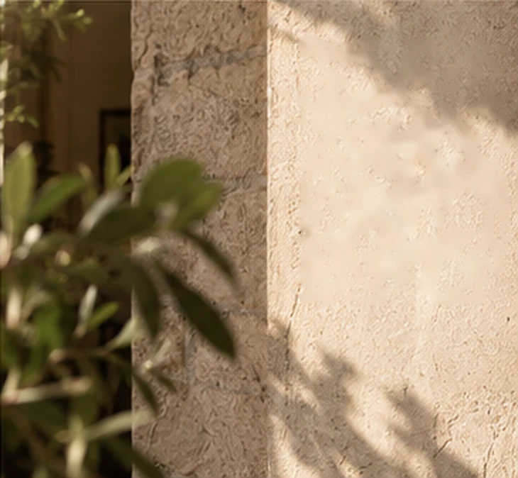 A sunlit stone wall with the shadow of olive leaves